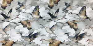 Flyway Fabric