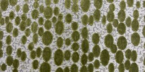 Finch  Fabric  (click for colors)