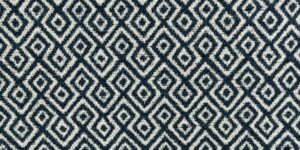 Nisha Fabric (click for colors)